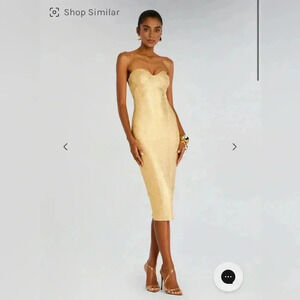 RETROFETE CHARLIZE COATED KNIT DRESS
NWT
8140